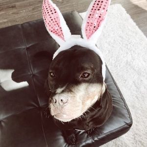 Meet your Posher, Rylee